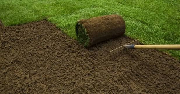 Sod  Installing
