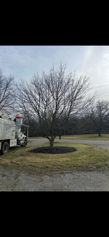 Mulch Installation
