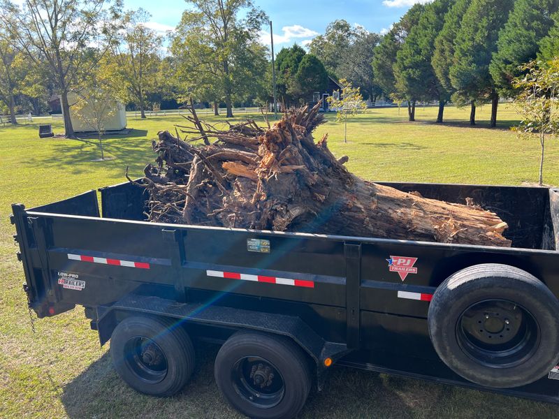 Land Clearing And Clean Up