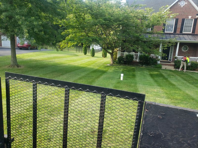 Grass Mowing