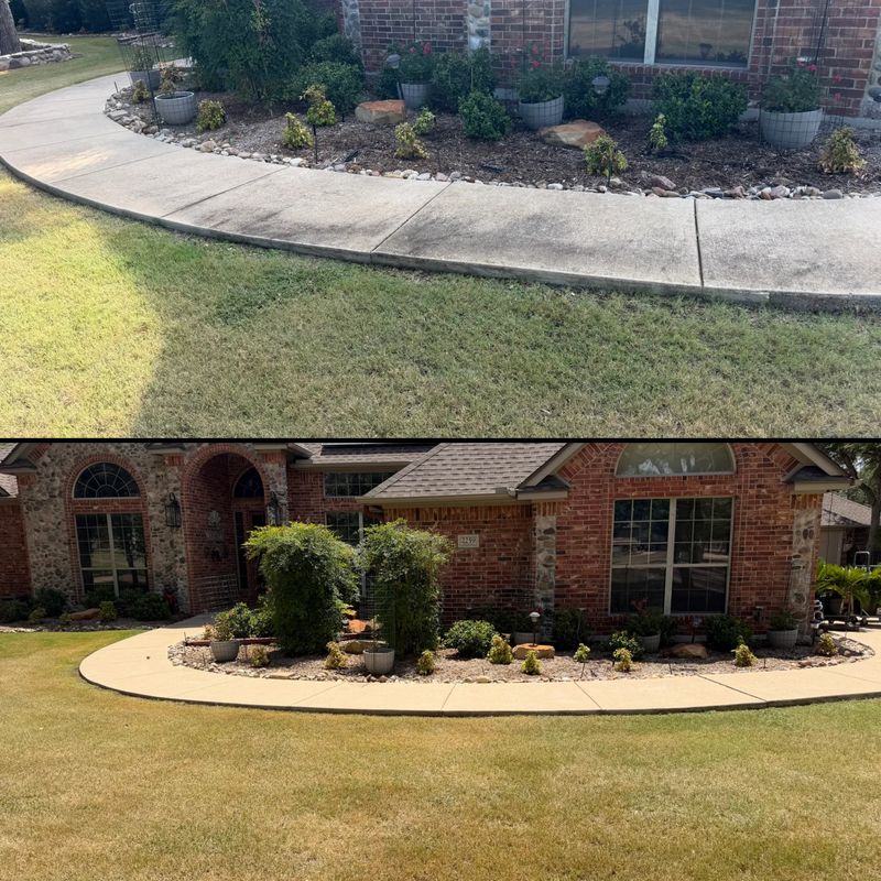 Driveway and Sidewalk Cleaning