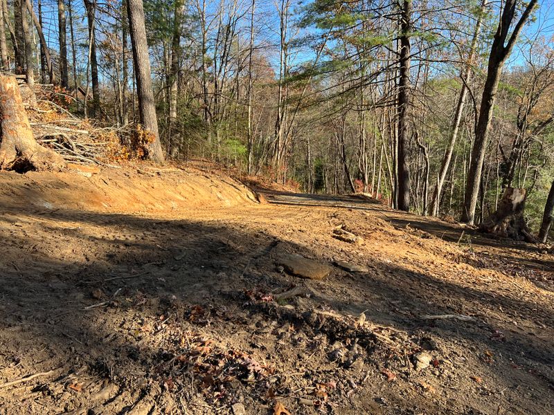 Land Clearing