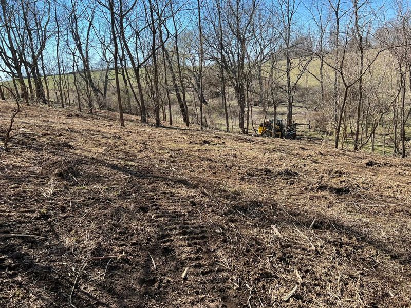 Land Clearing