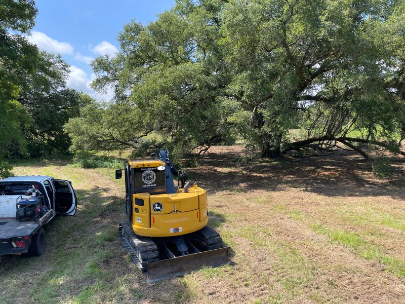 Land Clearing/ Forestry mulching gallery