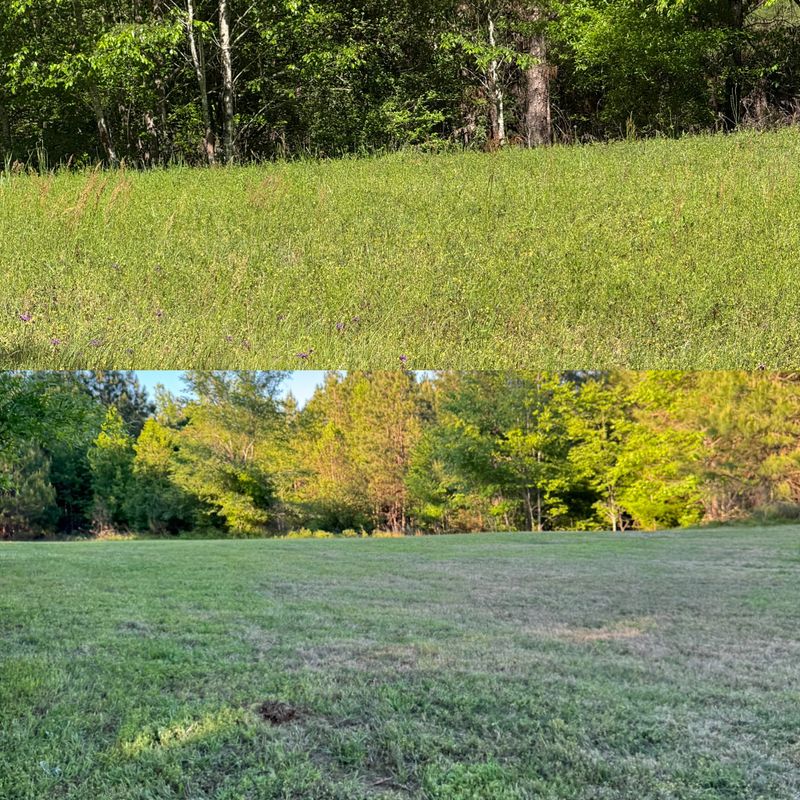 Turf, Ornamental, and Irrigation