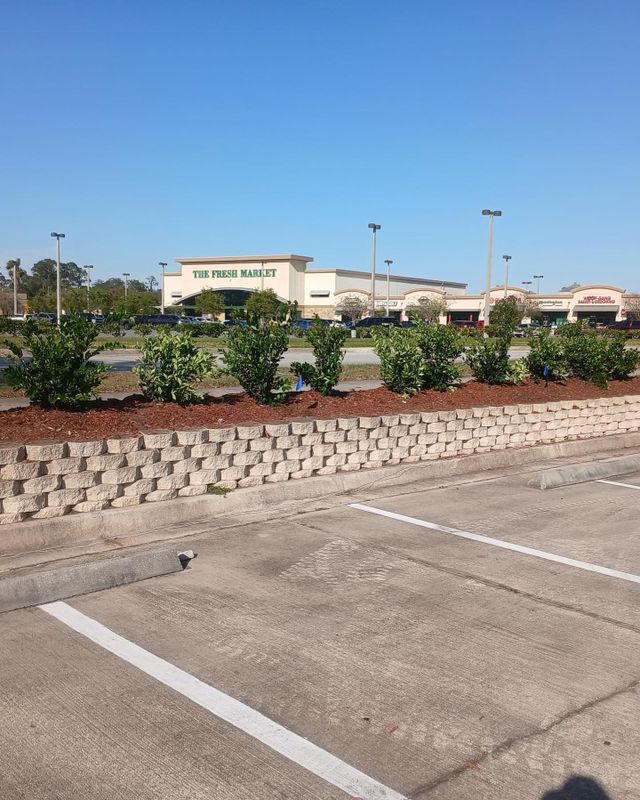 Shrub Trimming