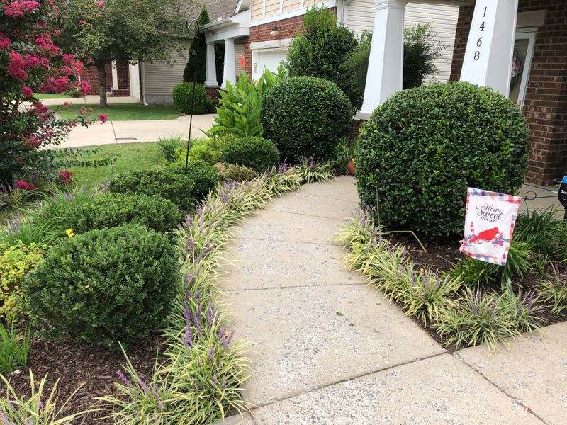 Shrub Trimming