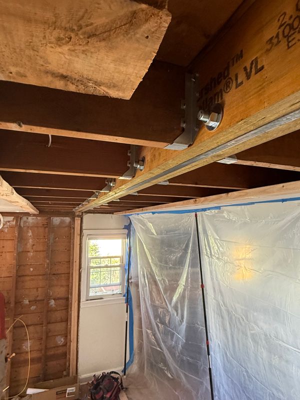 Basement Renovation