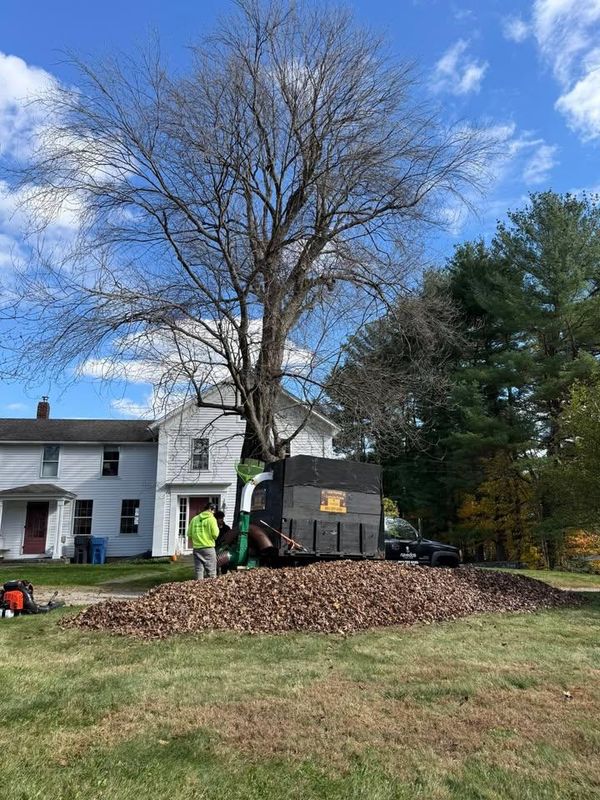 Fall Clean Up