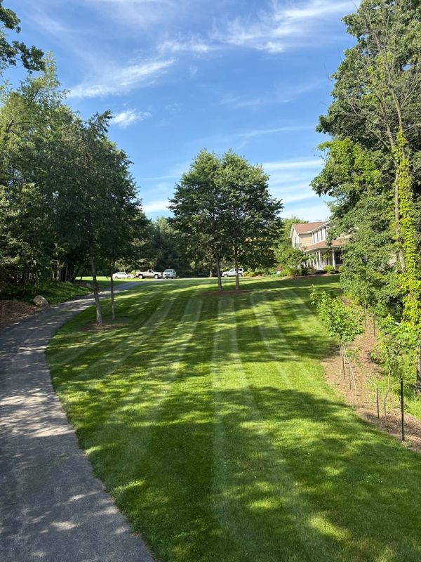 Lawn Maintenance
