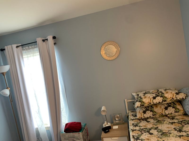 Interior Painting Projects