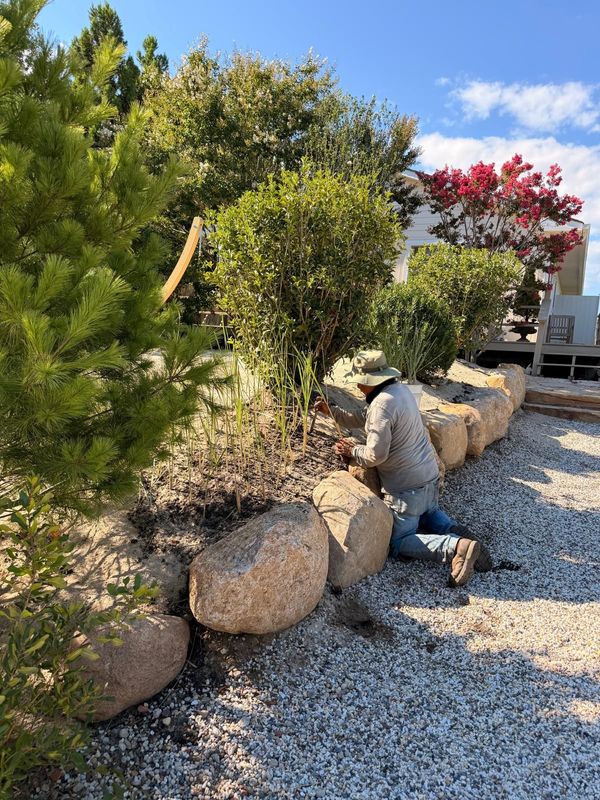 Garden Maintenance