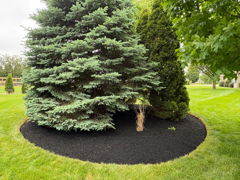 Mulch Installation
