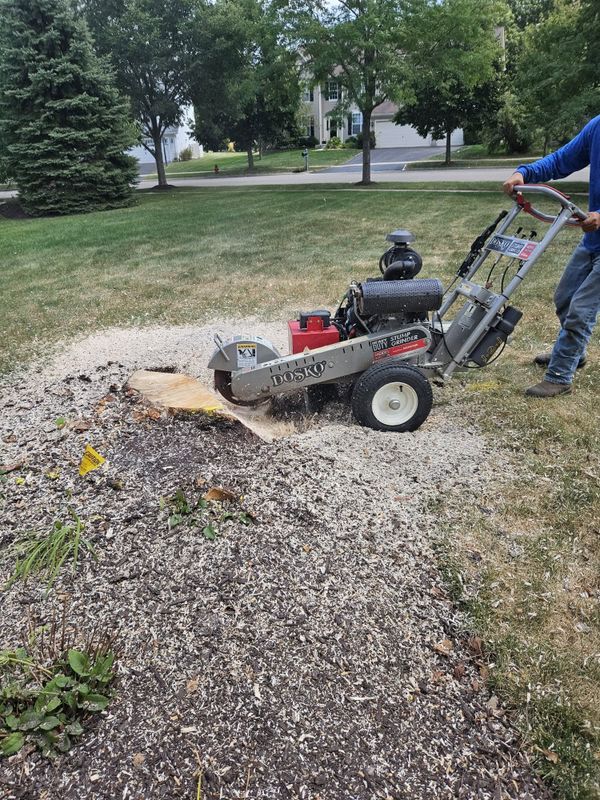 Plant & Shrub Installations