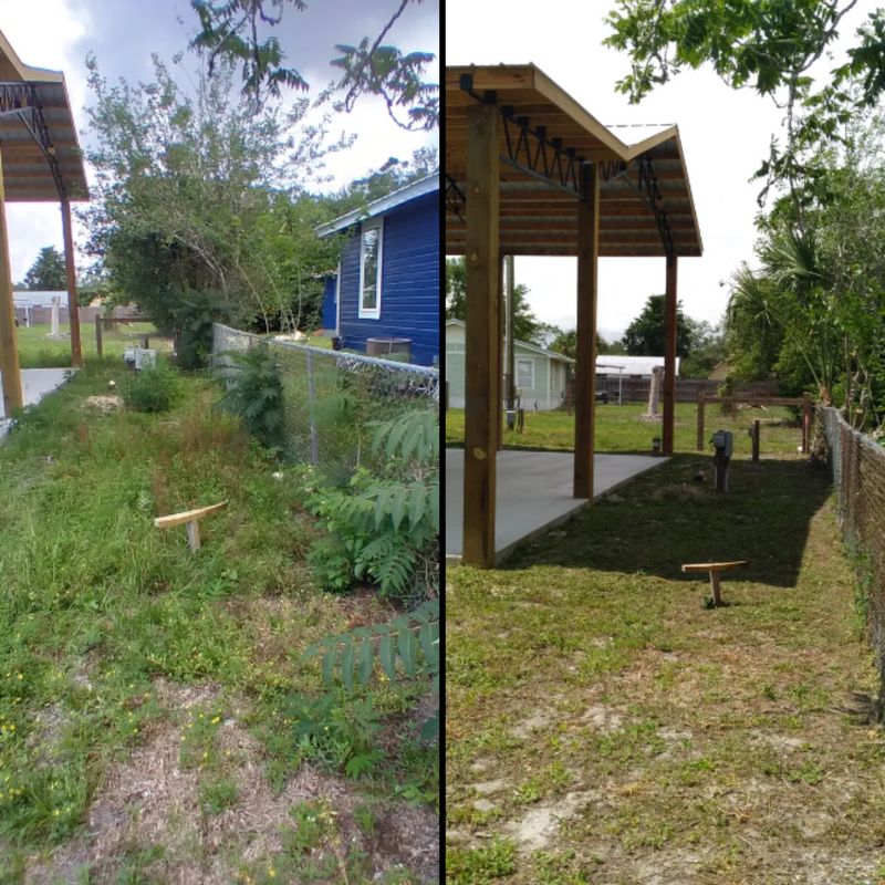 Before & Afters