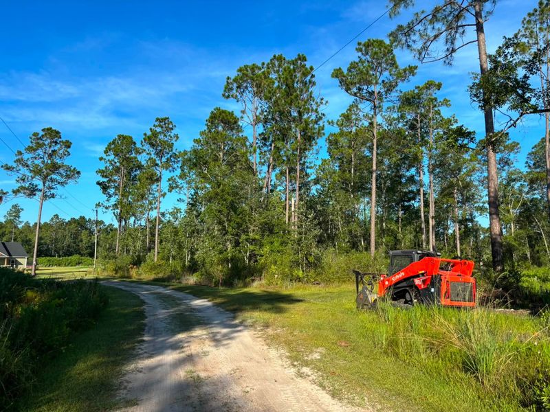 Land Clearing