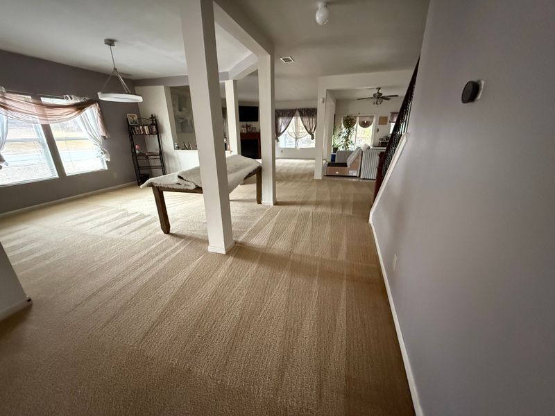 Upholstery Cleaning