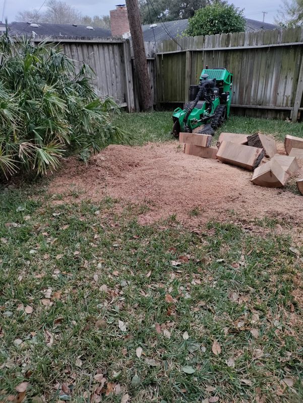 Tree Services