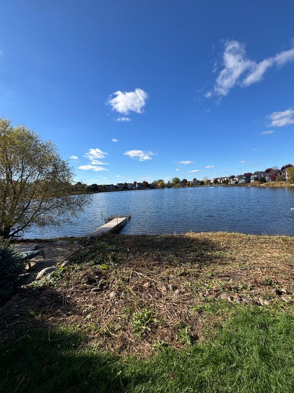 Shoreline Restoration