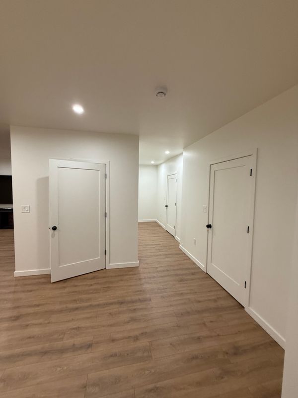 Basement Renovation