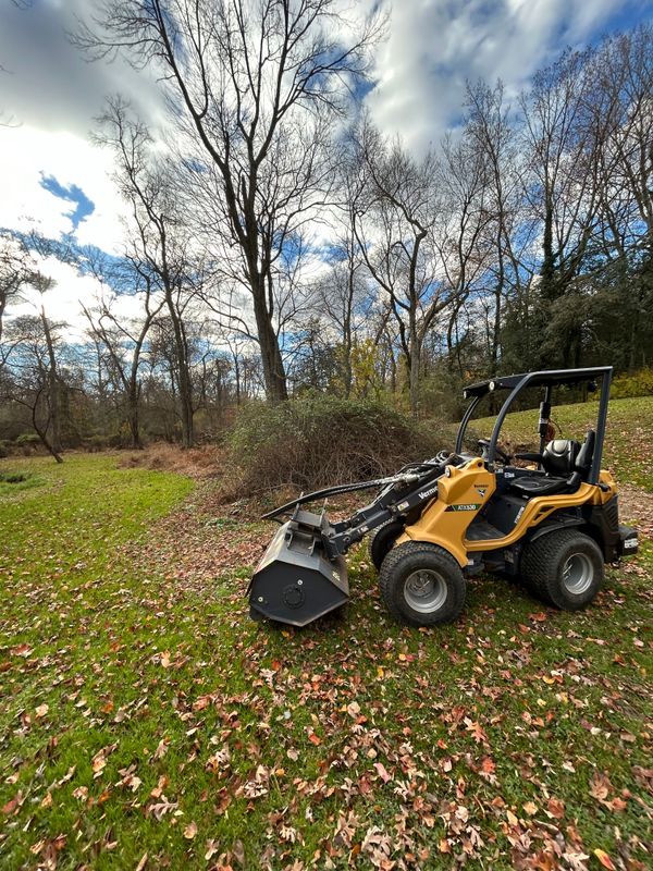 Stump Removal