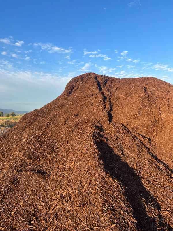 Mulch Installation
