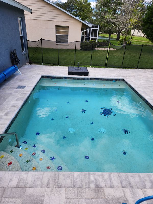 Pool Maintenance