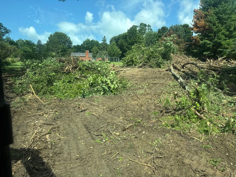 Land Clearing
