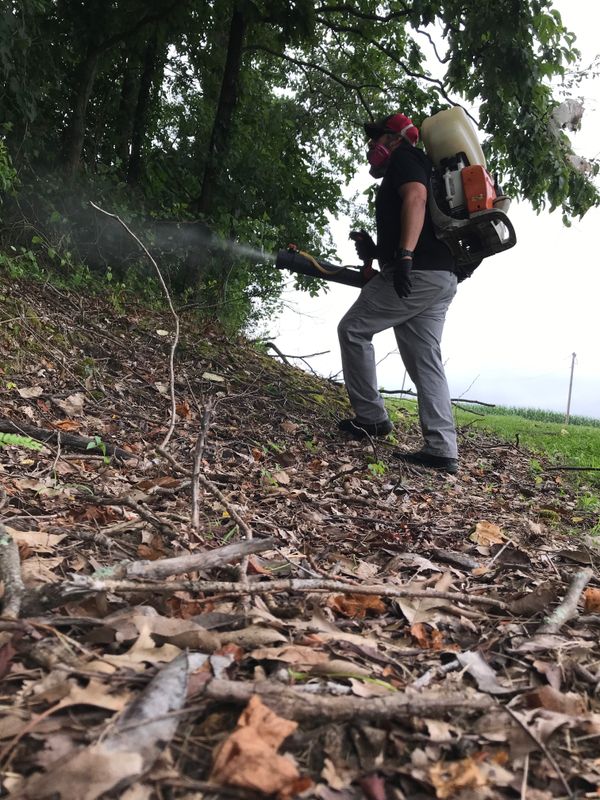 Mosquito Control