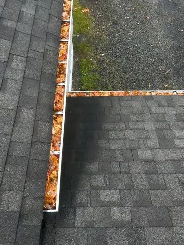 Gutter Cleaning & Repair
