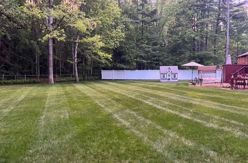 Lawn Maintenance