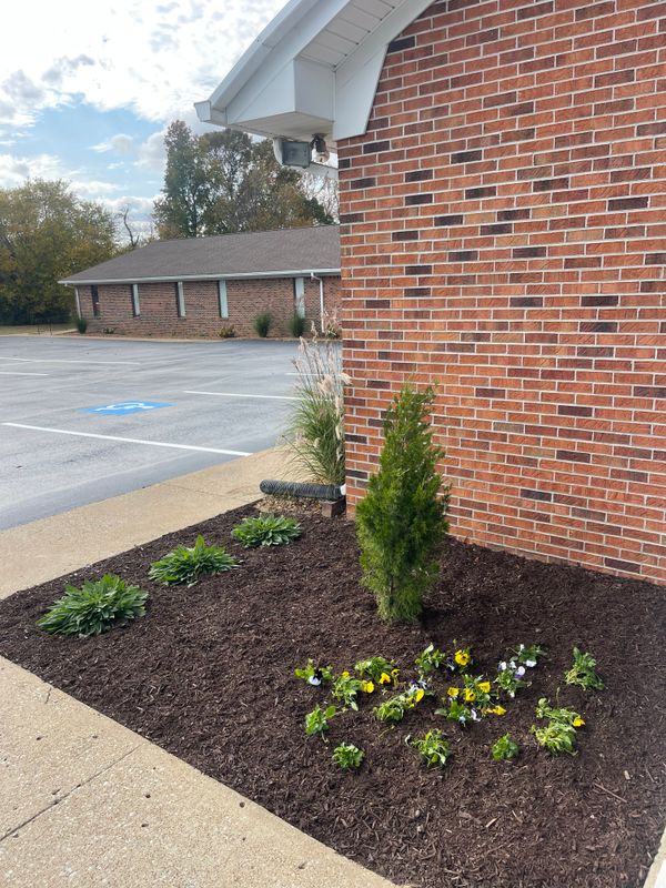 Mulch Installation