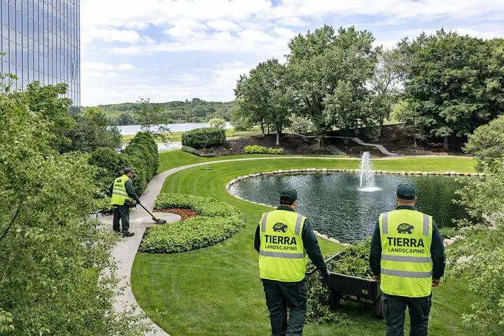 Lawn Maintenance & Care