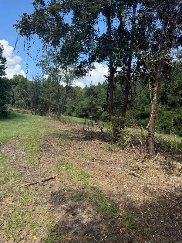 Land Clearing