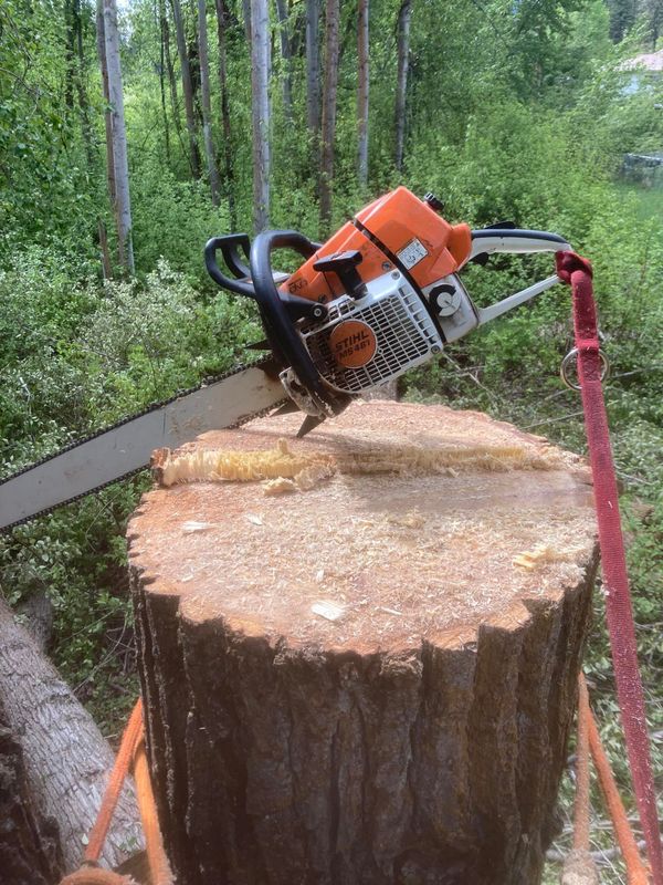 Tree Trimming and Removal
