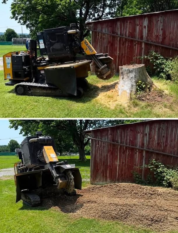 Stump Grinding