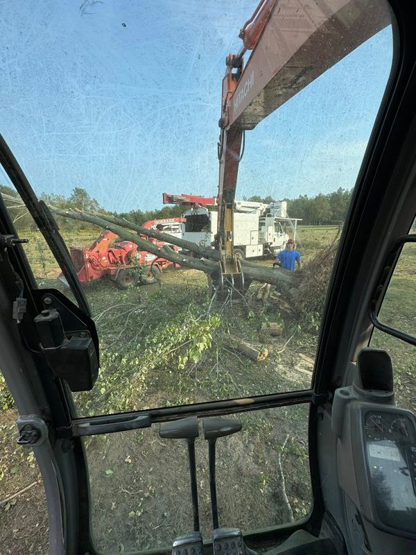 Tree Removal