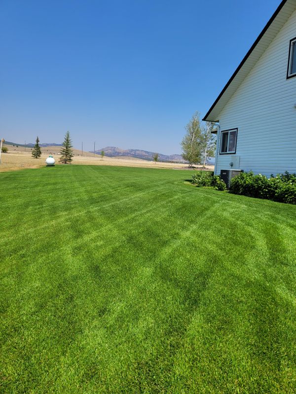 Landscaping