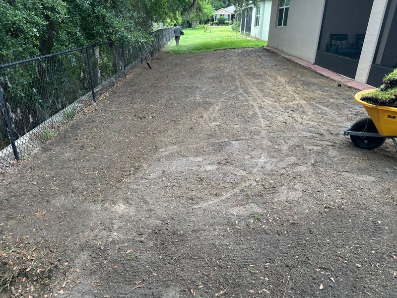 Sod Installation
