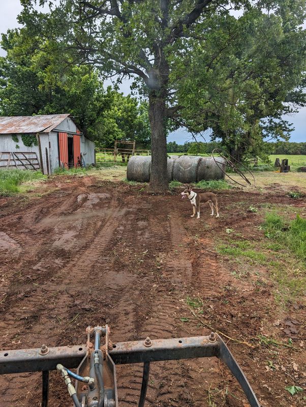 Land Clearing & Demolition