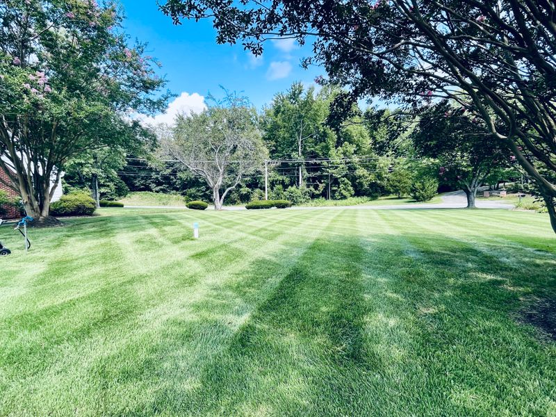 Mowing gallery