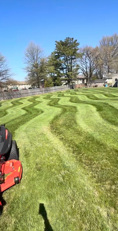 Lawn Maintenance