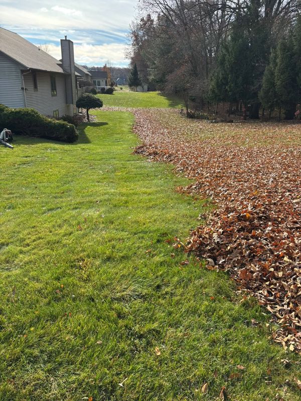 Lawn Care