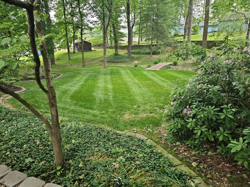 Lawn Maintenance Service