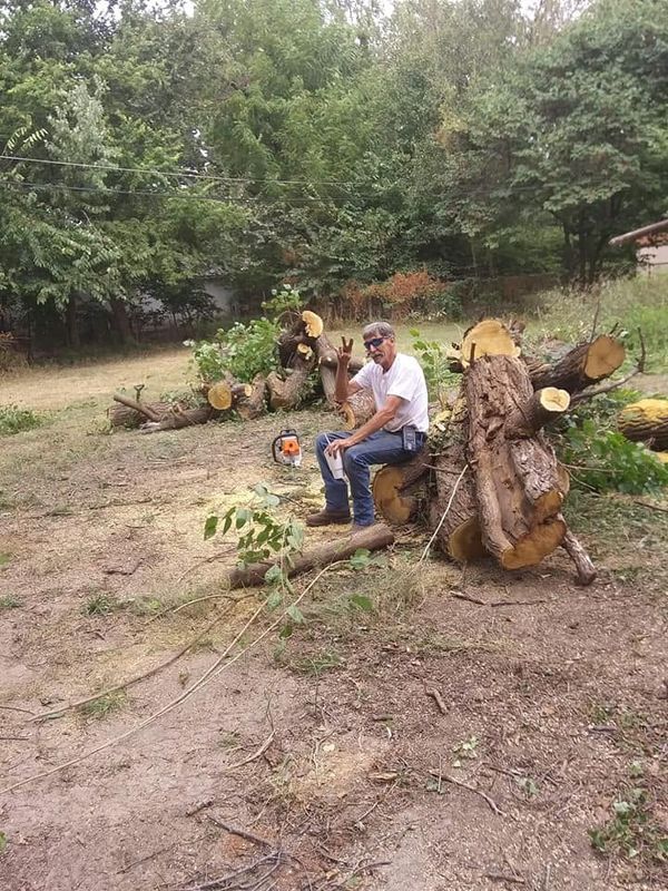 Tree Removal