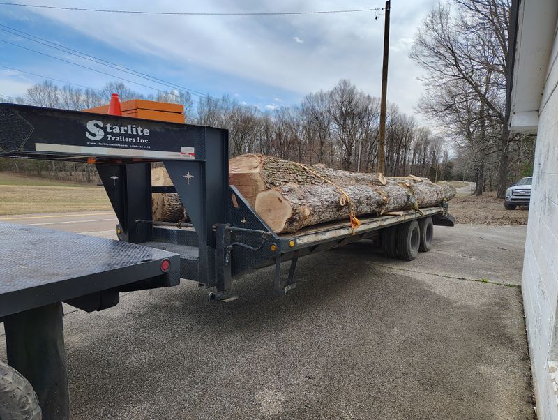 Tree Trimming & Removal