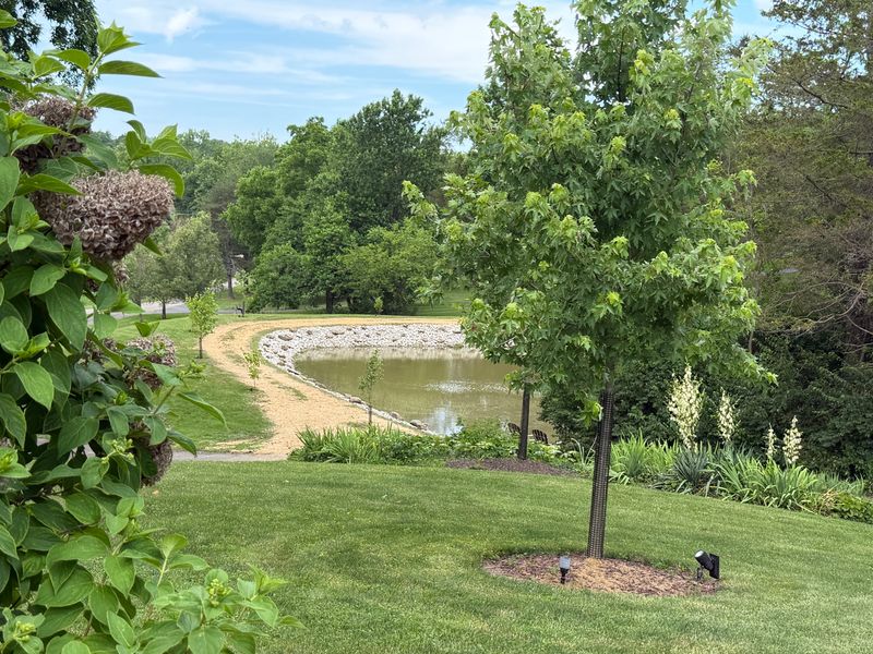 Pond Building and Maintenance
