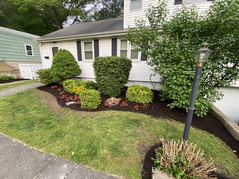 Landscape Maintenance gallery
