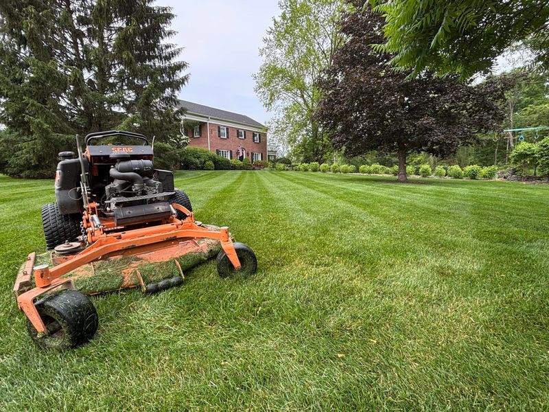 Lawn Maintenance