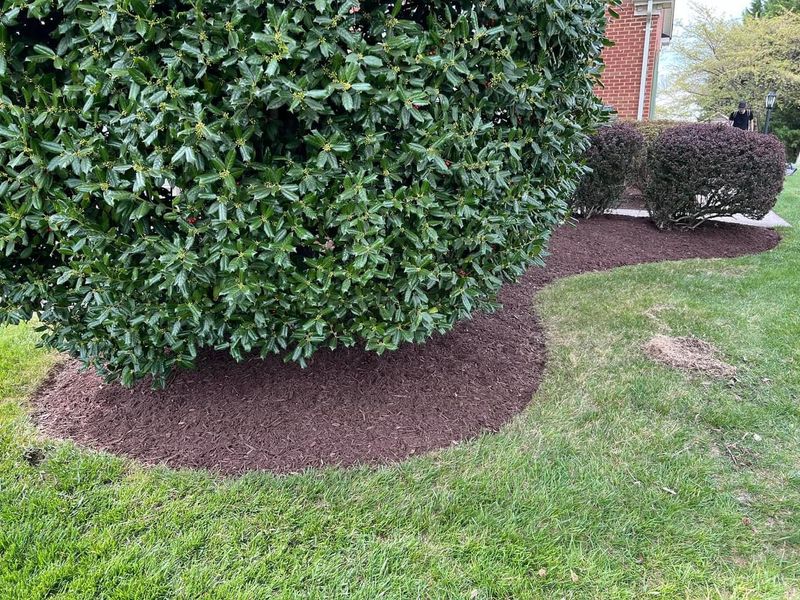 Mulch Installation